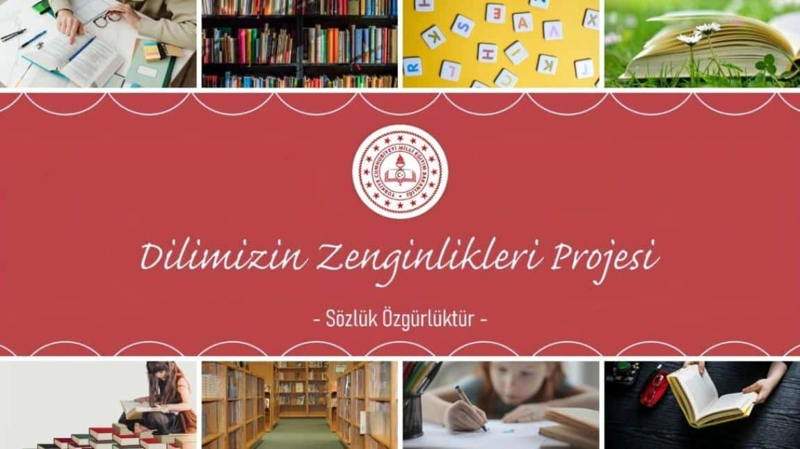 Dilimizi Zenginlikleri Projesi Faaliyetlerimiz